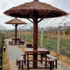 Alternative view of Brown LEISURE THATCH resort, public building simulation simulation thatched umbrella, courtyard simulation thatched umbrella